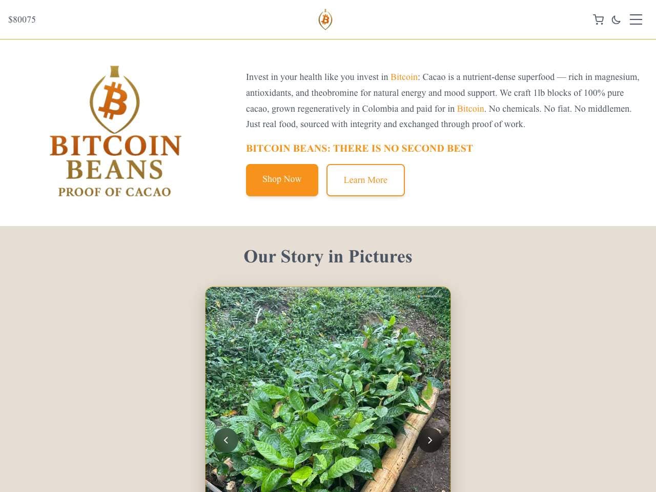 Bitcoin Beans shop